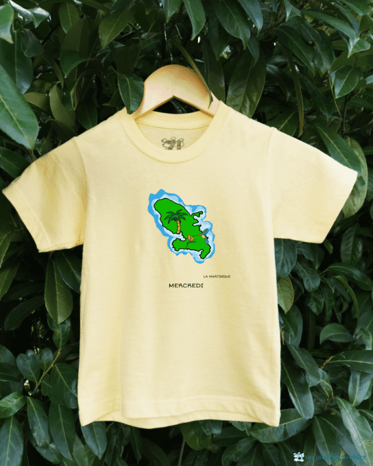 T-shirts - Les îles Françaises